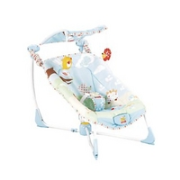 Fisher-Price Soothe & Go Bouncy Seat