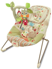 Fisher-Price Woodsy Friends Comfy Time Bouncer