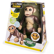 Zoomer Chimp
