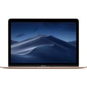 Apple MacBook MRQN2B/A