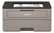 Brother HLL2350DW