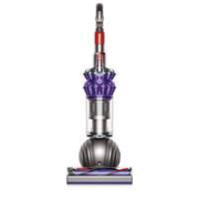 Dyson Small Ball Animal