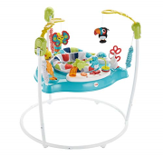 Fisher-Price Colour Climbers Jumperoo