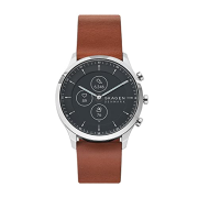 Skagen SKT3000