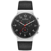 Skagen SKW6100