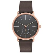 Skagen SKW6213