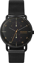 Skagen SKW6538