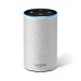 Amazon Echo - Sandstone