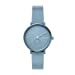 Skagen SKW2764